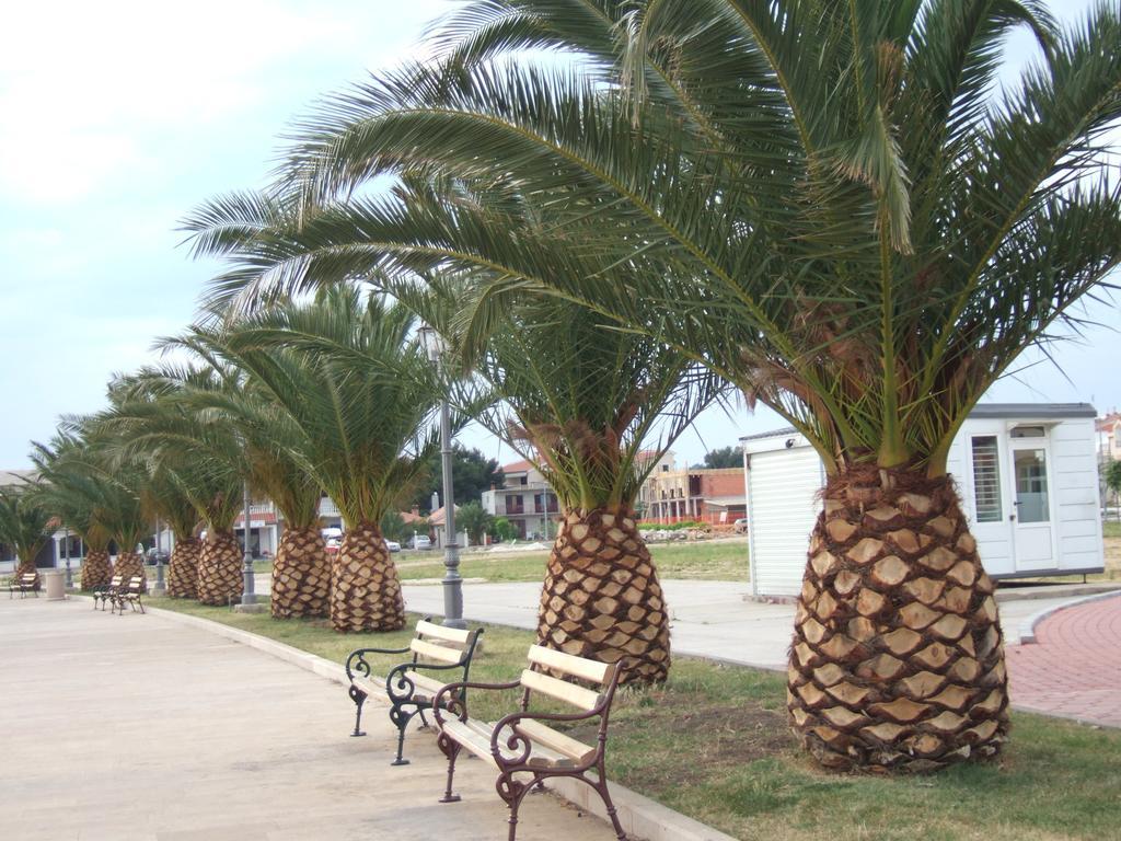Apartmani Kod Rade Pakostane Exterior photo